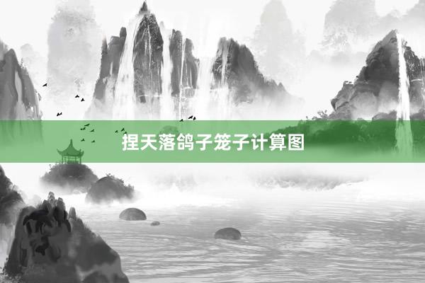 捏天落鸽子笼子计算图