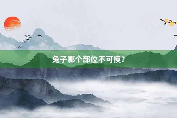 兔子哪个部位不可摸？