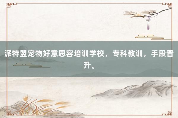 派特盟宠物好意思容培训学校,专科教训,手段晋升。
