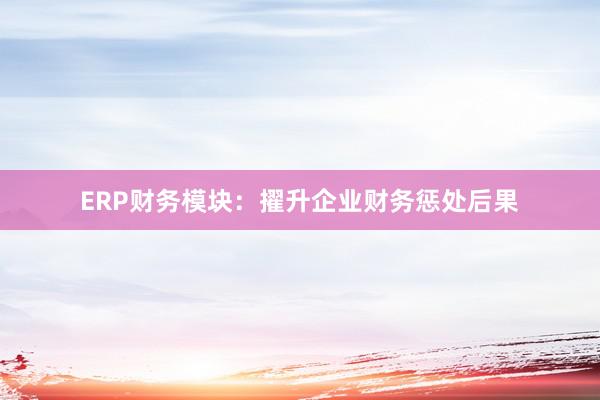 ERP财务模块：擢升企业财务惩处后果