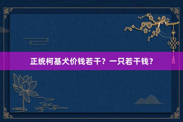 正统柯基犬价钱若干？一只若干钱？